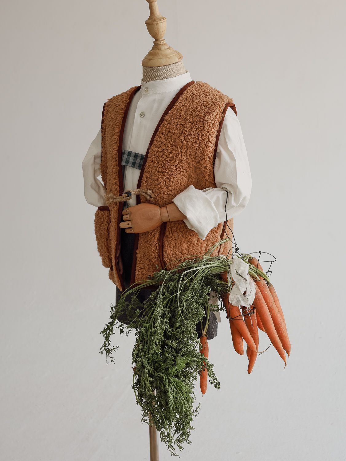 Odoo • Texto e imagen