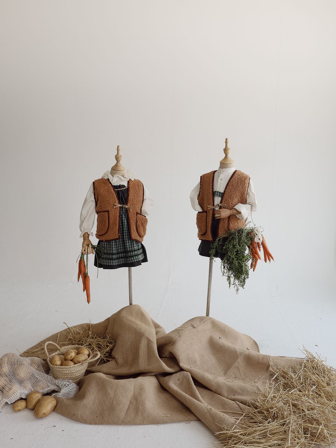 Odoo • Texto e imagen